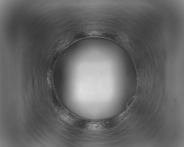 X0000053010175200507221323