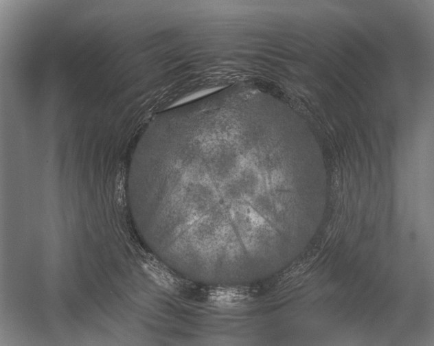 X0000053010177200507221323