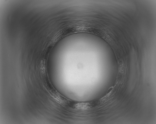 X0000053010179200507221323