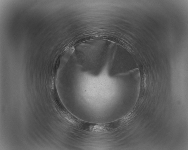 X0000053010180200507221323