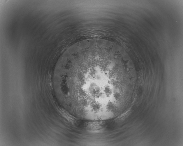 X0000053010182200507221323