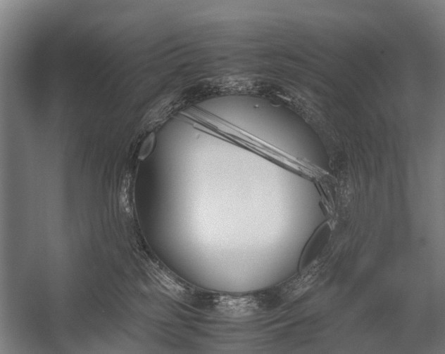 X0000053010185200507221323