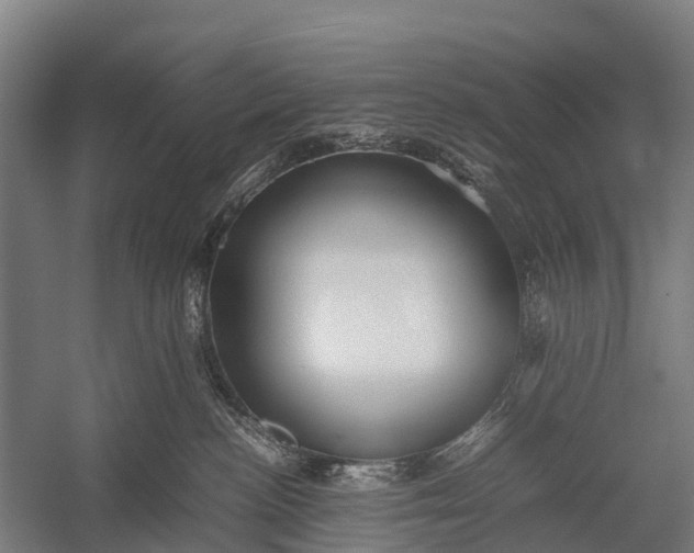 X0000053010188200507221323