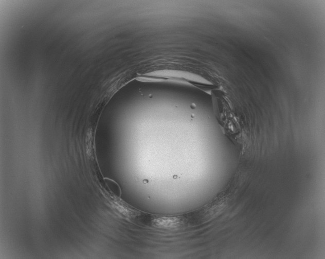 X0000053010189200507221323