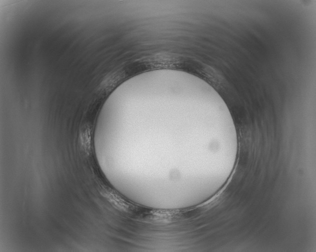 X0000053010190200507221323