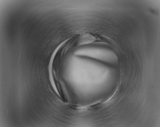 X0000053010192200507221323