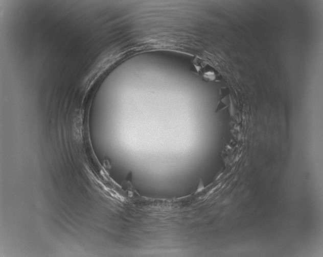 X0000053010194200507221322