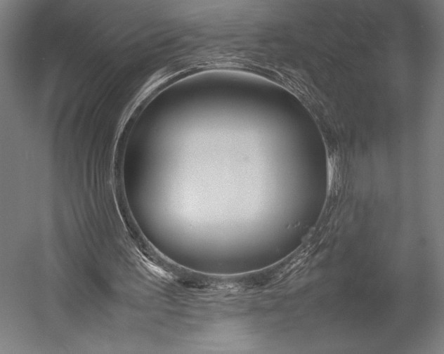 X0000053010195200507221322