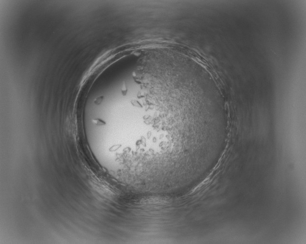 X0000053010198200507221322