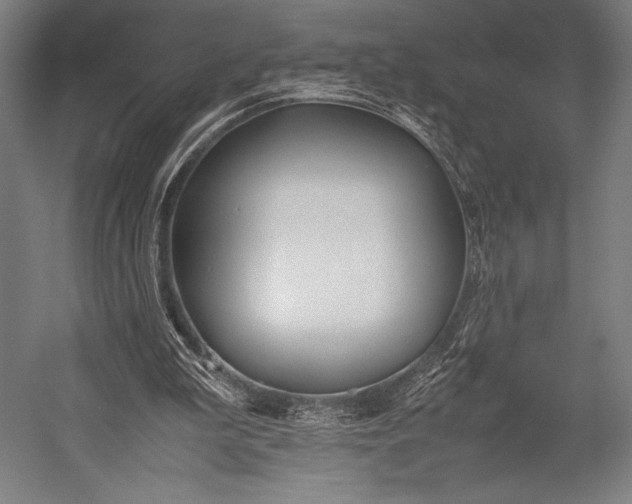 X0000053010199200507221322