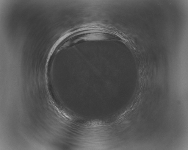 X0000053010200200507221322