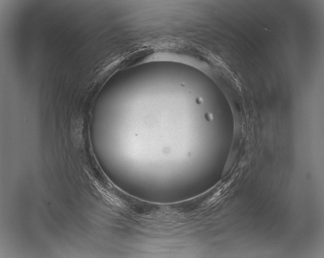 X0000053010201200507221322