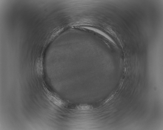 X0000053010202200507221322