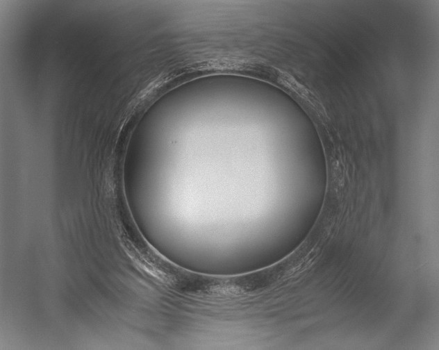 X0000053010203200507221322