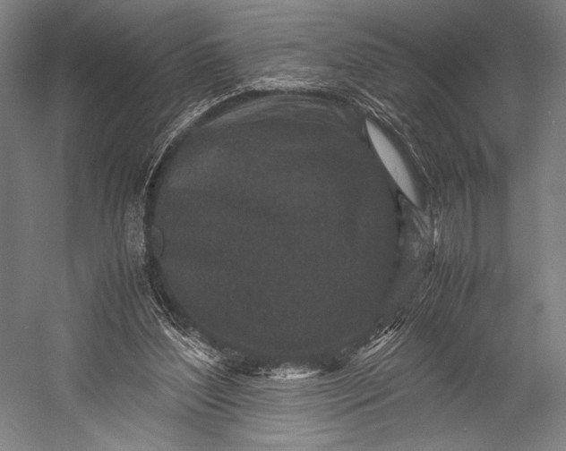 X0000053010204200507221322