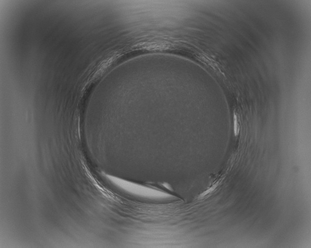 X0000053010205200507221322