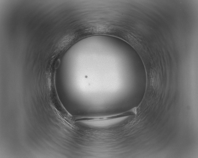 X0000053010206200507221322