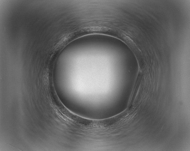 X0000053010207200507221322