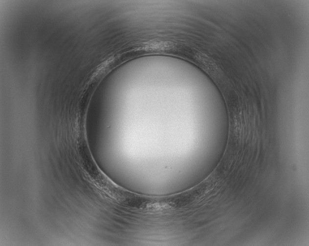 X0000053010208200507221322