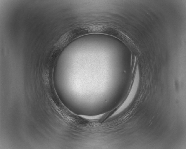 X0000053010209200507221322