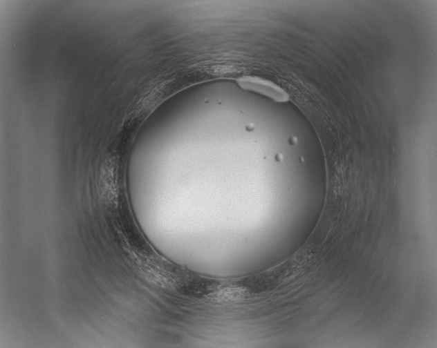 X0000053010210200507221322