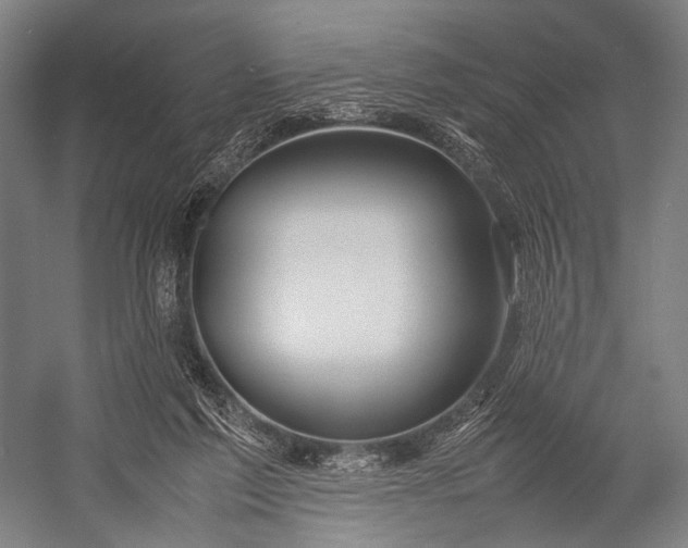 X0000053010213200507221322