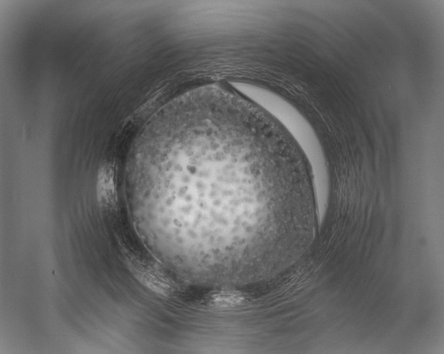 X0000053010214200507221322