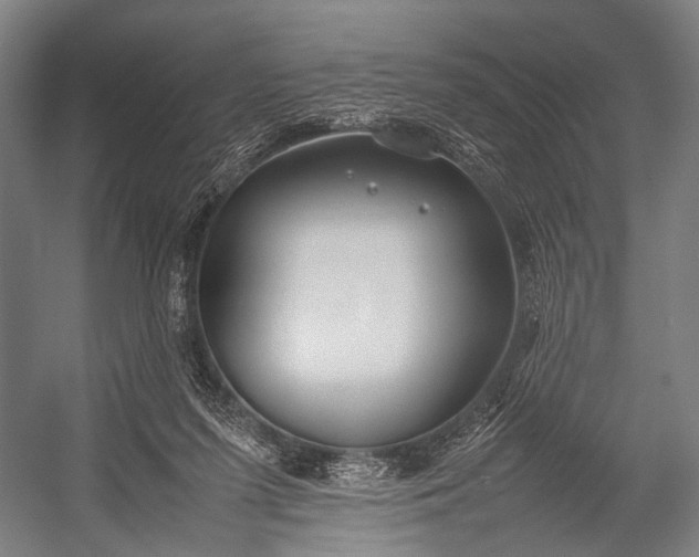 X0000053010215200507221322