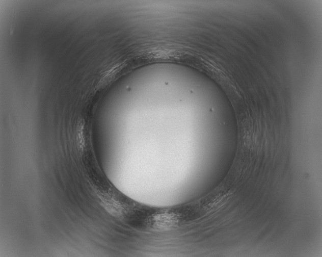 X0000053010216200507221322