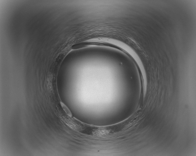 X0000053010217200507221322