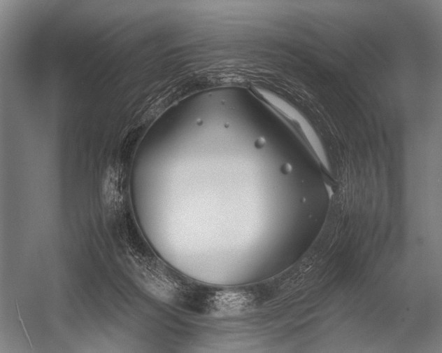 X0000053010218200507221322