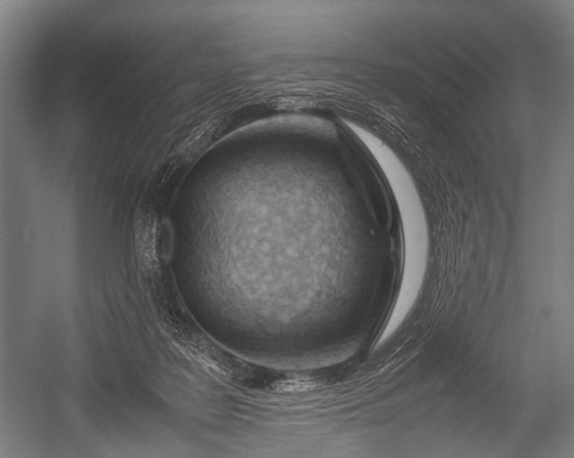 X0000053010219200507221322