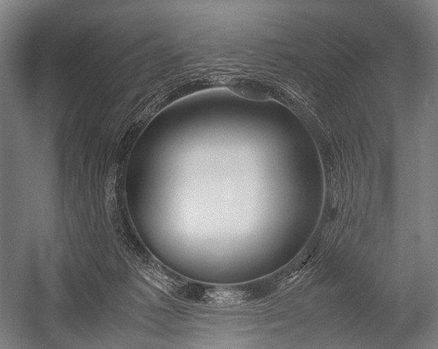 X0000053010221200507221322