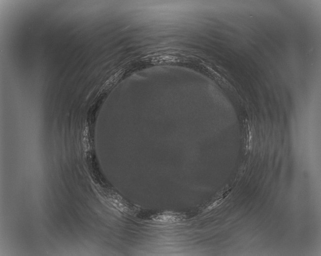 X0000053010224200507221322