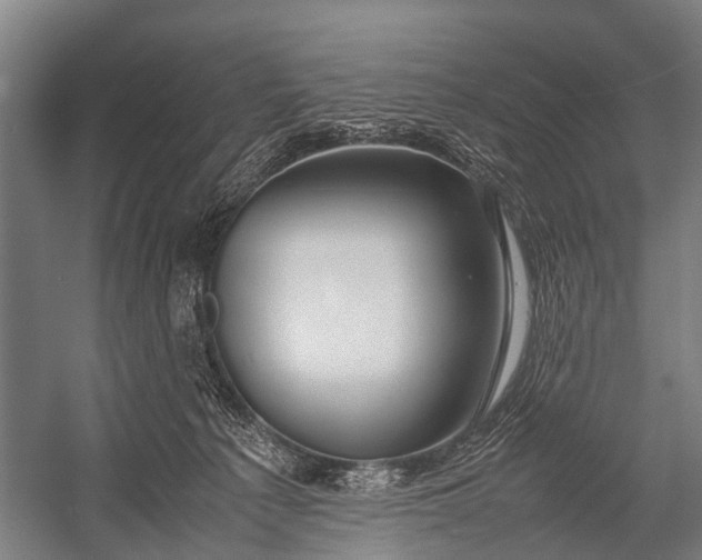 X0000053010225200507221322