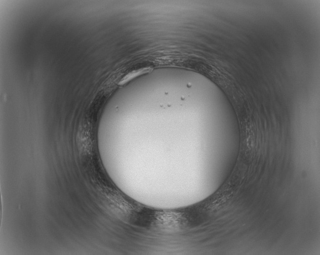 X0000053010226200507221322