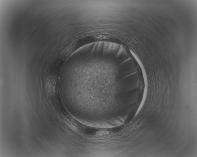 X0000053010227200507221322