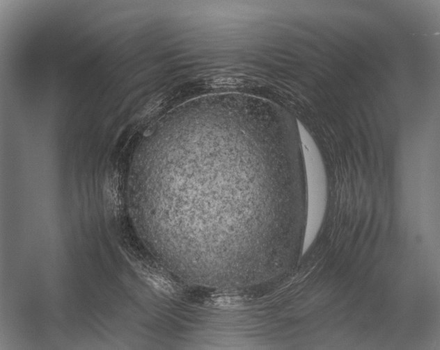 X0000053010228200507221322