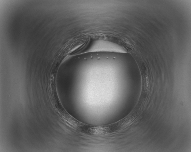 X0000053010229200507221322