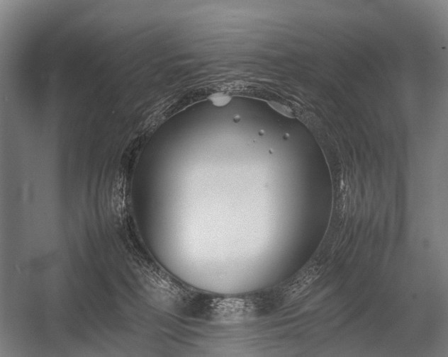 X0000053010230200507221321