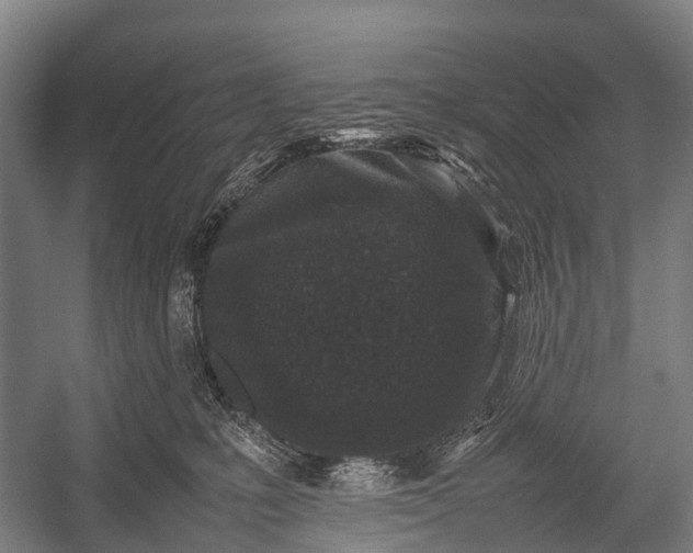 X0000053010231200507221321