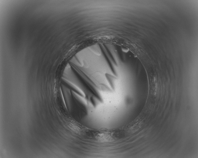 X0000053010232200507221321