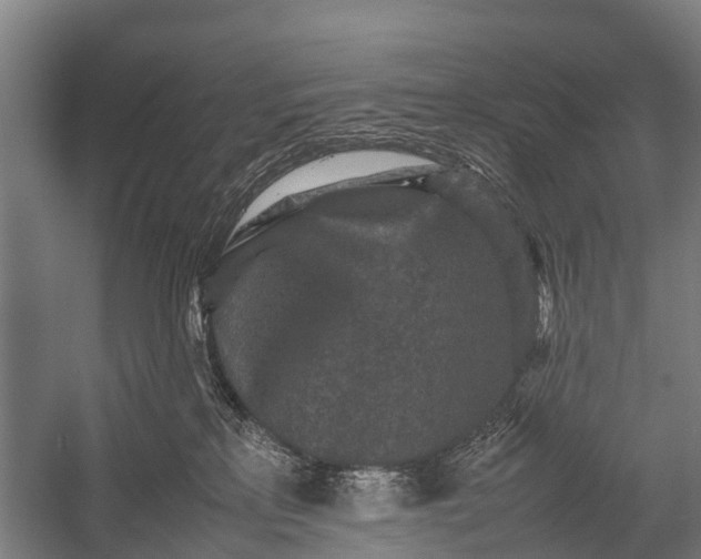 X0000053010233200507221321