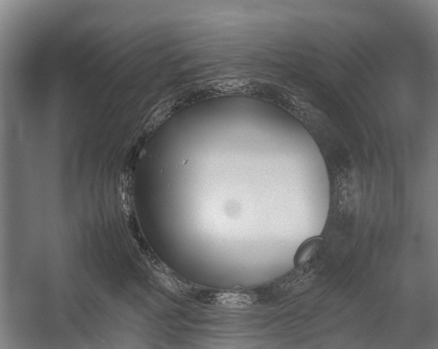 X0000053010234200507221321