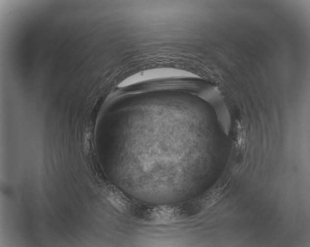 X0000053010235200507221321