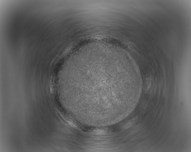 X0000053010236200507221321