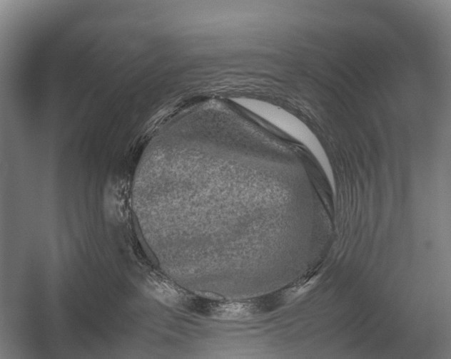 X0000053010237200507221321