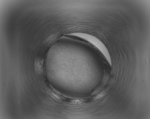 X0000053010239200507221321