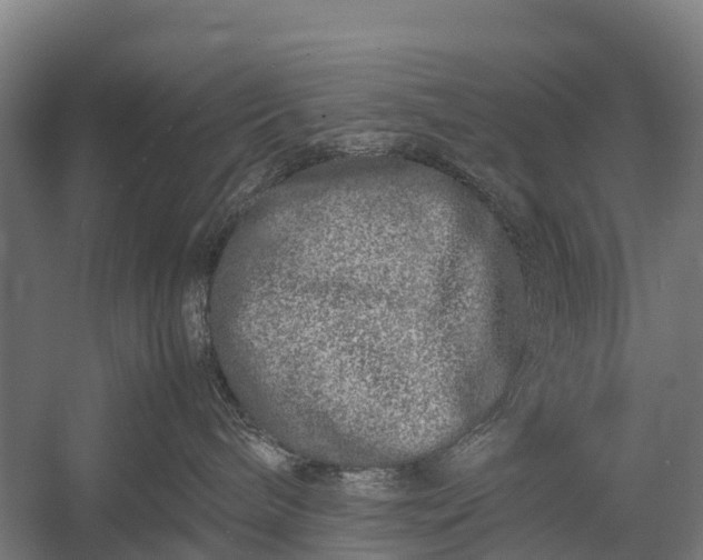 X0000053010240200507221321