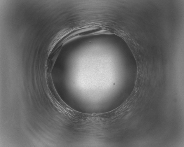 X0000053010242200507221321